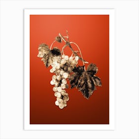 Gold Botanical Muscat Grape on Tomato Red n.4846 Art Print