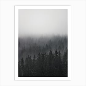 Layers Of Trees In Fog Art Print