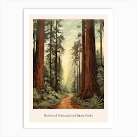 Redwood National And State Parks Art Print