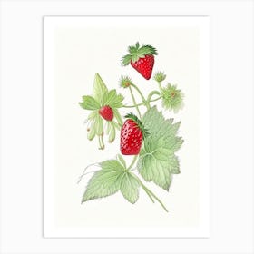 Alpine Strawberries, Plant, Quentin Blake Illustration 1 Art Print