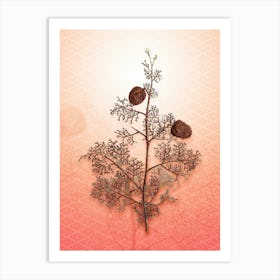 Mediterranean Cypress Vintage Botanical in Peach Fuzz Hishi Diamond Pattern n.0341 Art Print