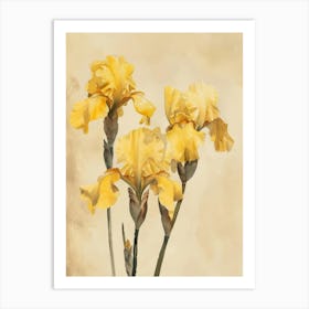 Yellow Iris 3 Art Print