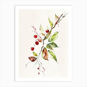 Wild Cherry Bark Herb Minimalist Watercolour 2 Art Print