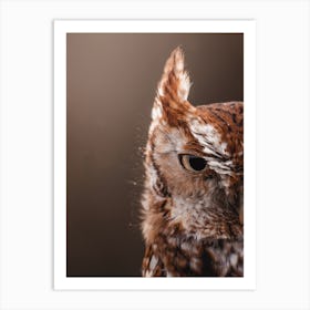 Screech Owl Profile Art Print