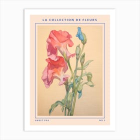 Sweet Pea 3 French Flower Botanical Poster Art Print