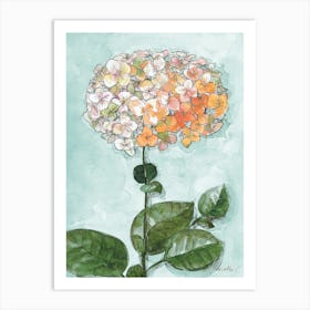 Hydrangea Art Print