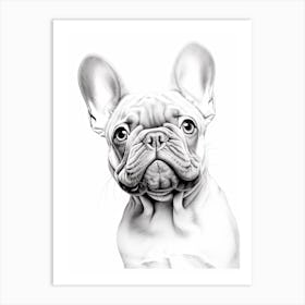 French Bulldog Dog, Line Drawing 1 Art Print