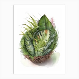 Bird S Nest Fern 1 Watercolour Art Print