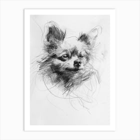 Pomeranian Dog Charcoal Line 3 Art Print