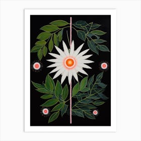 Edelweiss 5 Hilma Af Klint Inspired Flower Illustration Art Print