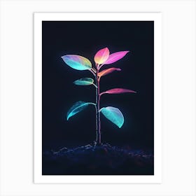 Plant In The Dark 45 Art Print