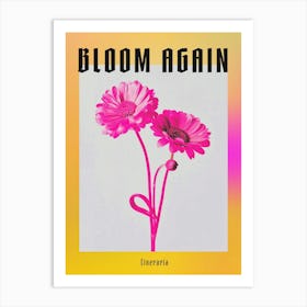 Hot Pink Cineraria 1 Poster Art Print