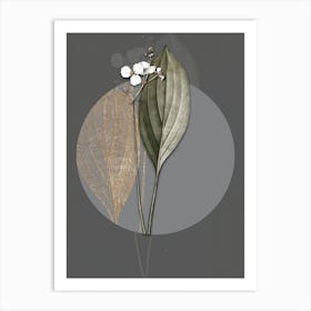 Vintage Botanical Bulltongue Arrowhead on Circle Gray on Gray n.0322 Art Print