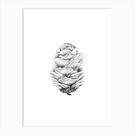 Larch cone No 87 by Aga Szafranska Art Print