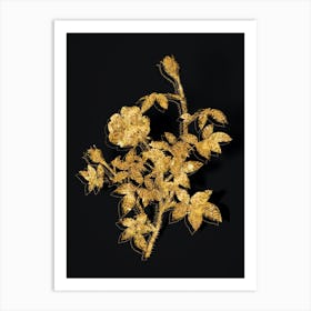 Vintage Moss Rose Botanical in Gold on Black n.0240 Art Print