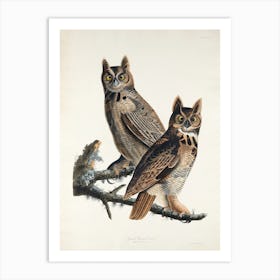 Great Horned Owl, Birds Of America, John James Audubon Art Print