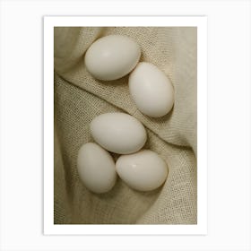 White Eggs 4 Art Print