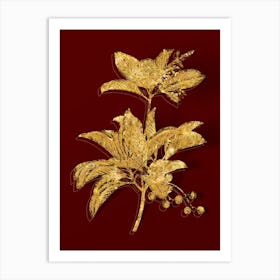 Vintage Greek Strawberry Tree Botanical in Gold on Red n.0002 Art Print