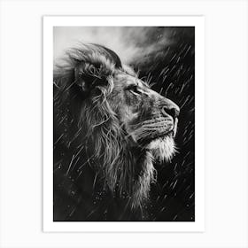 Barbary Lion Charcoal Drawing Facing A Storm 1 Art Print