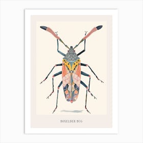 Colourful Insect Illustration Boxelder Bug 2 Poster Art Print