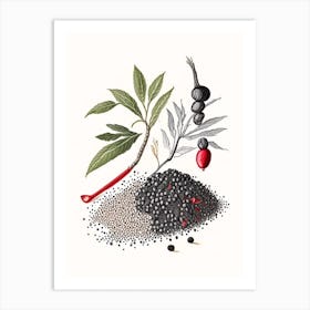 Black Pepper Spices And Herbs Pencil Illustration 4 Art Print