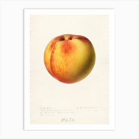 Peach, Royal Charles Steadman Art Print