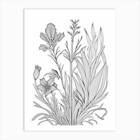 Orris Root Herb William Morris Inspired Line Drawing 1 Art Print