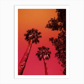 Palm Tree Print 'Cai' Art Print