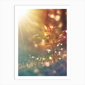 Sun Shining On A Leaf Art Print