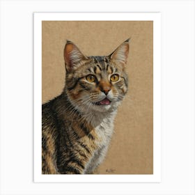 Tabby Cat 1 Art Print