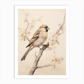 Vintage Bird Drawing Finch 1 Art Print