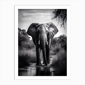 Elephant In The Nature Art Print