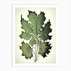 Skullcap Leaf Vintage Botanical 3 Art Print