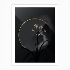 Shadowy Vintage Crytanthus Vittatus Botanical on Black with Gold n.0004 Art Print