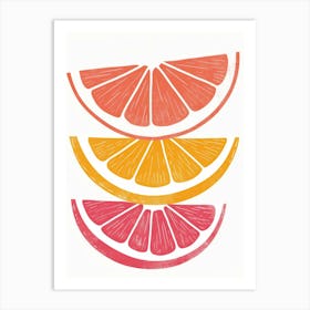 Citrus Slices 10 Art Print