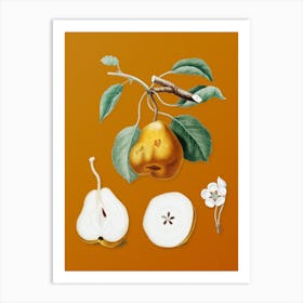 Vintage Pear Botanical on Sunset Orange n.0952 Art Print