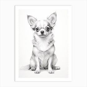 Chihuahua Dog, Line Drawing 4 Art Print