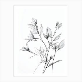 Black And White Drawing Of Flowers 1 Art Print