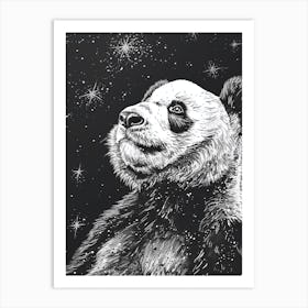 Giant Panda Looking At A Starry Sky Ink Illustration 3 Art Print