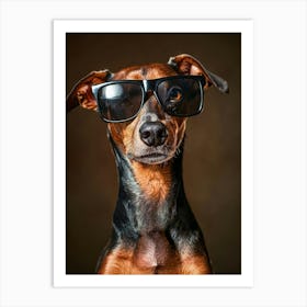 Dachshund Wearing Sunglasses Póster