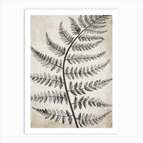 Fern Leaf Botanical 3 Art Print
