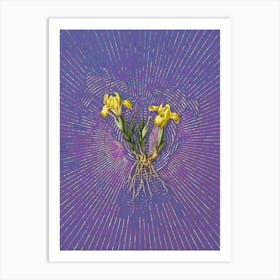 Vintage Sand Iris Botanical Illustration on Veri Peri n.0148 Art Print