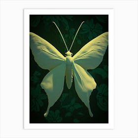 Butterfly 5 Art Print