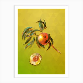 Vintage Peach Botanical Art on Empire Yellow n.1461 Art Print