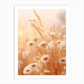 Boho Dried Flowers Oxeye Daisy 3 Art Print