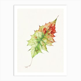 Virginia Creeper Leaf Minimalist Watercolour 2 Art Print