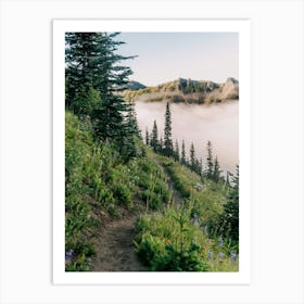 Wildflower Hike II Art Print