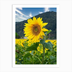 Sunflower In The Field 1 Art Print