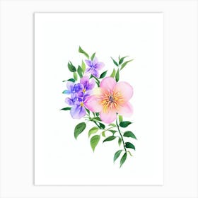 Jasmine Watercolour Flower Art Print