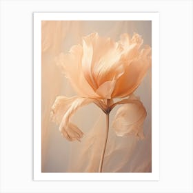 Boho Dried Flowers Tulip 4 Art Print
